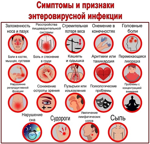 Внимание, энтеровирусная инфекция! Узнай, как не заболеть Внимание, энтеровирусная инфекция! Узнай, как не заболеть.